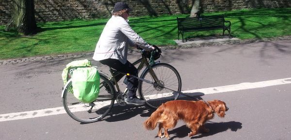 como llevar al perro en la bici