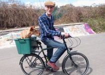 LLEVAR O PASEAR PERRO EN BICICLETA: TRUCOS Y CONSEJOS