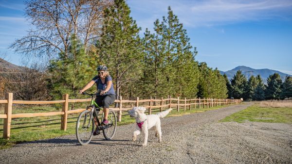 como pasear perro en bicicleta