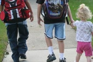 CAMINO ESCOLAR, COMO EMPEZAR