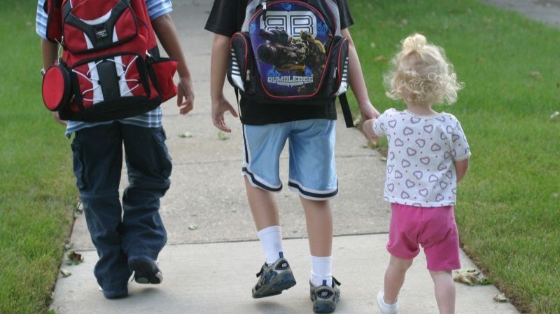 BICICLETAS URBANAS BLOG DE MOVILIDAD camino escolar camino escolar