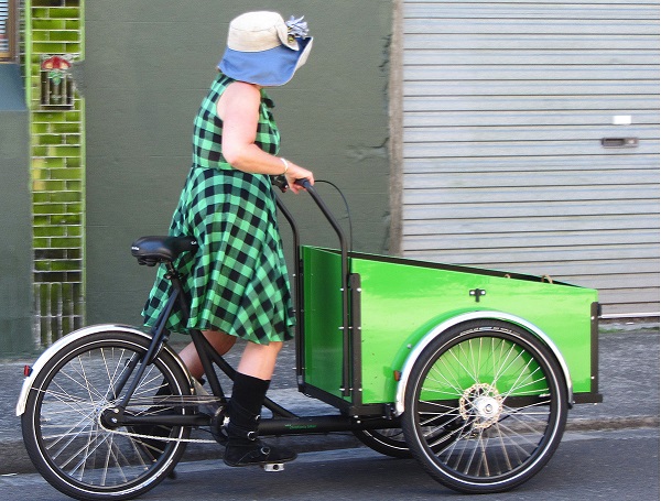 bicicleta de carga tipo triciclo